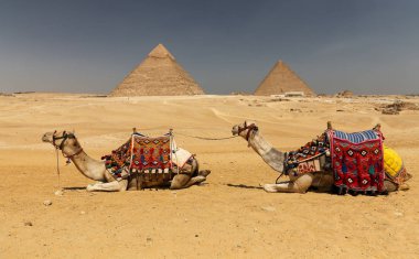 Giza Pyramid Complex, Kahire, Mısır