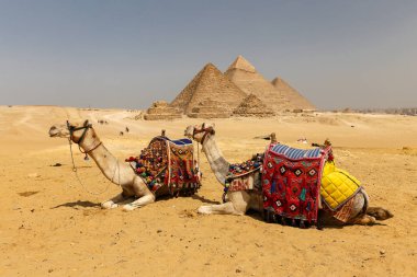 Giza Pyramid Complex, Kahire, Mısır