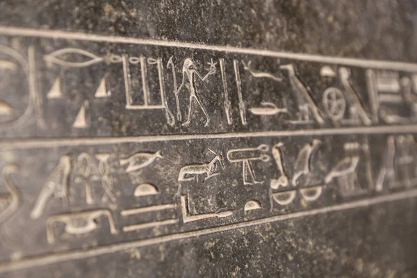 Hiëroghics in Egyptisch Museum, Caïro, Egypte — Stockfoto