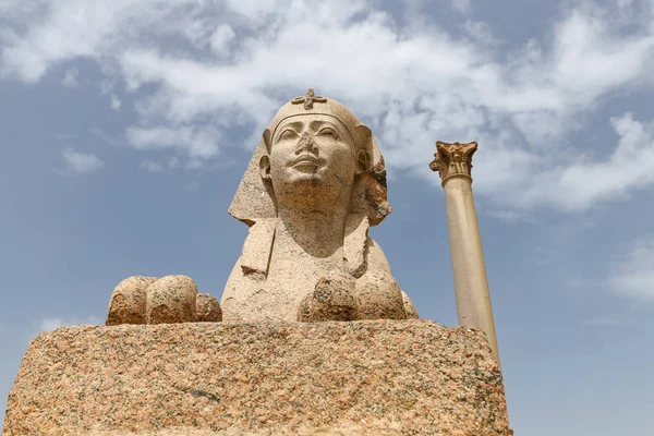 埃及亚历山大的庞培支柱 — 图库照片