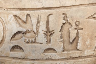 Memphis'te hiyeroglif, Kahire, Mısır