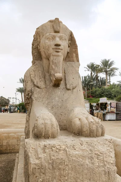 Sphinx à Memphis, Le Caire, Égypte — Photo