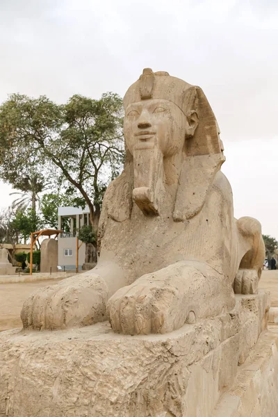 Sphinx à Memphis, Le Caire, Égypte — Photo
