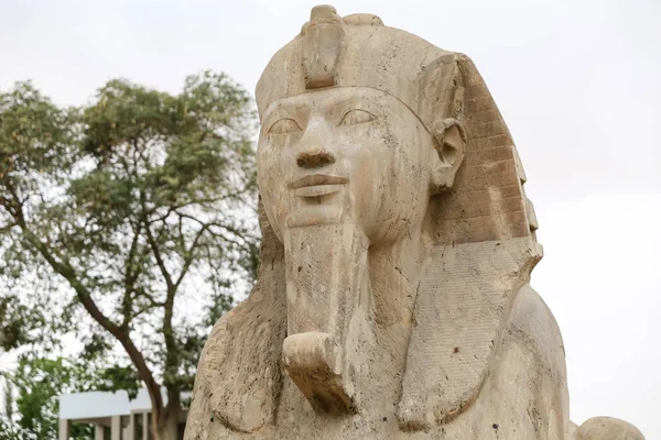 Sphinx in Memphis, Cairo, Egypt — Stock Photo, Image