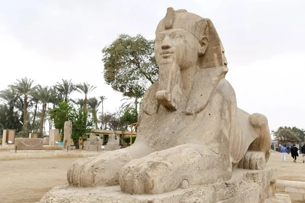 狮身人面像在孟菲斯， 开罗， 埃及 — 图库照片