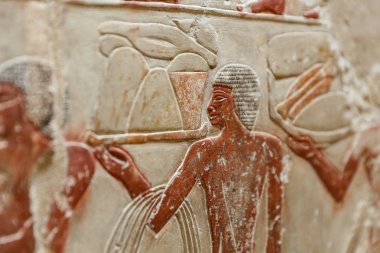 Saqqara Nekropolü sahneleri, Kahire, Mısır