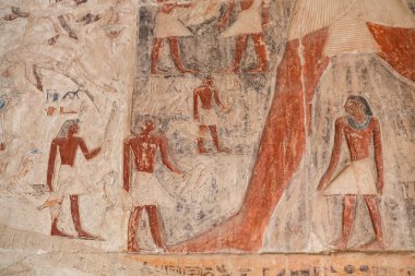 Saqqara Nekropolü sahneleri, Kahire, Mısır