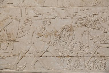 Saqqara Nekropolü sahneleri, Kahire, Mısır
