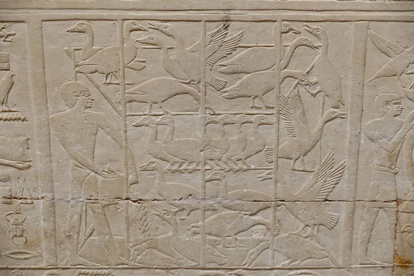 Scener i Saqqara Necropolis, Kairo, Egypten — Stockfoto