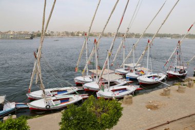 Nil Nehri'nde Felluca Tekneler