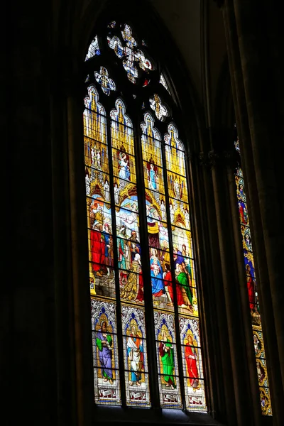 Cathédrale de Cologne à Cologne, Allemagne — Photo