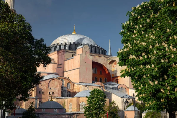 Музей Святой Софии Султанахмет Стамбул Турция — стоковое фото