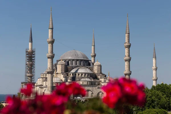 Sultanahmet Blue Mosque Sultanahmet Istanbul City Turkey — Stock Photo, Image
