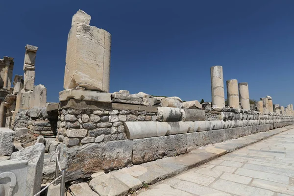 Efeso Città Antica Nella Città Selcuk Città Smirne Turchia — Foto Stock