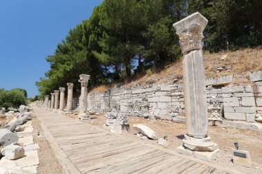 Efes Antik Kenti, İzmir 'in Selcuk ilçesinde, Türkiye