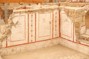 Efes Antik Kenti, İzmir 'deki Terrace Evlerinde duvar çizimleri, Türkiye