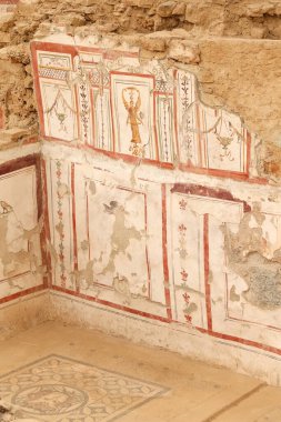 Efes Antik Kenti, İzmir 'deki Terrace Evlerinde duvar çizimleri, Türkiye