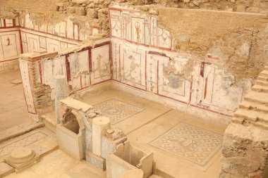 Efes Antik Kenti, İzmir 'deki Terrace Evlerinde duvar çizimleri, Türkiye