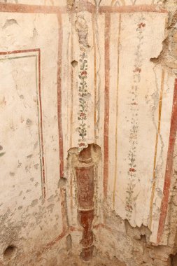 Efes Antik Kenti, İzmir 'deki Terrace Evlerinde duvar çizimleri, Türkiye