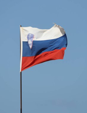 Mavi arka planda bayrak direğinde dalgalanan Slovenya bayrağı