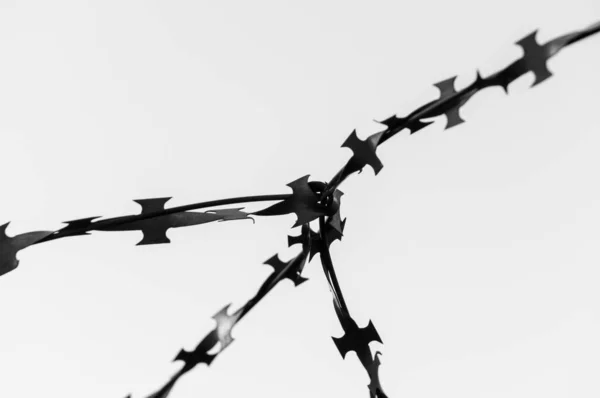 Barbed Wire Close Soft Focus Concept Struggle Freedom Copy Space — Stock Photo, Image