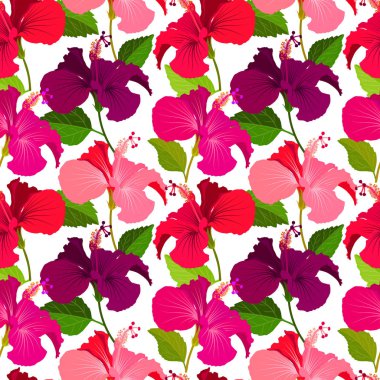 Güzel sorunsuz çiçek orman desen arka plan. Tropik çiçekler parlak renk arka plan. Hibiscus çiçek gerçekçi vektör tekrarlanabilir tasarım.
