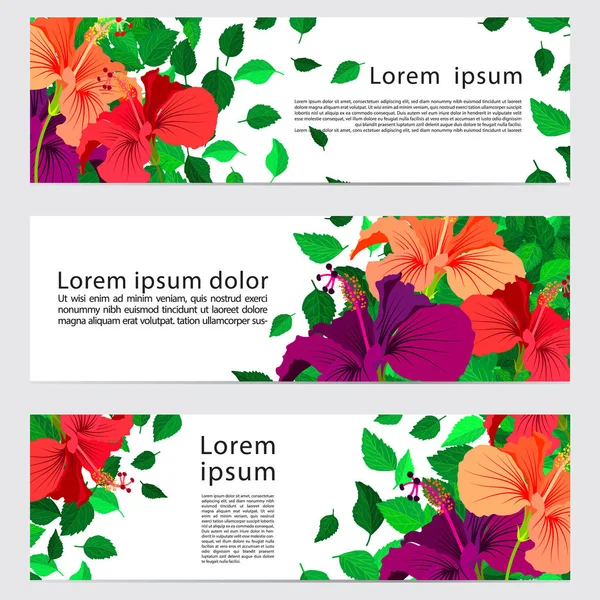 Набор из трех баннеров, абстрактные заголовки с красочными цветками гибискуса и листьями, ботанические фоны с копировальным пространством — стоковый вектор