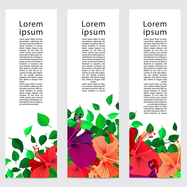 Sada tří bannerů, abstraktní hlavičky s barevnými ibišek květ a listy, botanické pozadí s kopií prostor — Stockový vektor