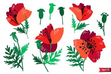 El çizilmiş bitkilerin vektör toplama. Renkli doodle tarzı çiçekler, yapraklar ve dalları Botanik seti. Tasarım için ayarlanmış kırmızı poppi elemanları.