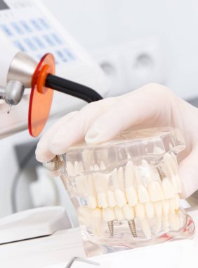 Koruyucu eldiven diş çene modeli, aksesuarlar, araçları ve aletleri stomatology ofisinde kullanılan holding doktor el