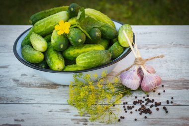 Metal kase ve baharat asitleme salatalık, sağlıklı beslenme için olgunlaşmış salatalık