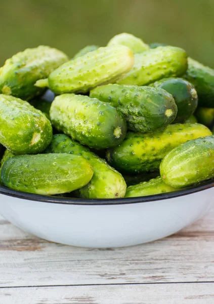 Mogna Gurkor Skål Gamla Vit Träskiva Trädgården Soliga Dag Hälsosam — Stockfoto