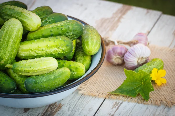 Olgun salatalık metal kase ve Jüt tuval üzerine bahçede güneşli, sağlıklı beslenme kavramı eski beyaz ahşap masa üstünde taze sarımsak