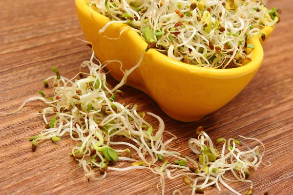 Bowl Fresh Alfalfa Radish Sprouts Board Concept Healthy Lifestyle Food — Stock Photo, Image