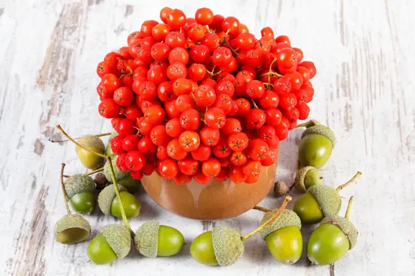 Mazzo Rosso Autunno Sorbo Piatto Vetro Ghiande Verdi Vecchia Tavola — Foto Stock