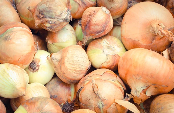 Primer Plano Montón Cebollas Naturales Sin Pelar Concepto Alimentos Saludables —  Fotos de Stock