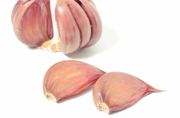 Fresh Garlic Healthy Vegetable White Background — Stock Photo, Image