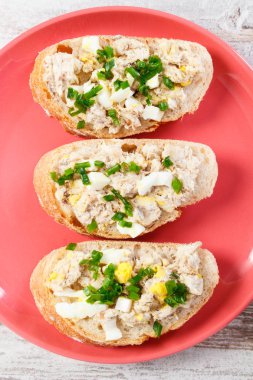 Taze ev yapımı hamur uskumru veya ton balığı, yumurta ve Frenk soğanı huysuz baget dilim