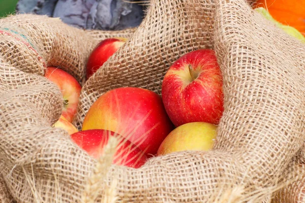 Fresh ripe apples in jute bag, concept of healthy nutrition