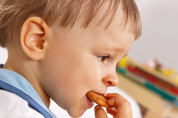 Hungry little baby boy eating biscuit or cookies, concept of dessert for kids in preschool or nursery