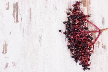 Eski rustik tahtası, beslenme ve alternatif tıp, kopya alanı metin için taze mürver demet