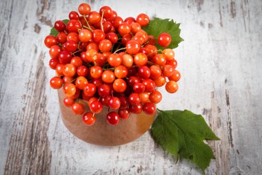 Eski rustik tahta üzerinde yeşil yaprakları ile kırmızı sonbahar kartopu demet