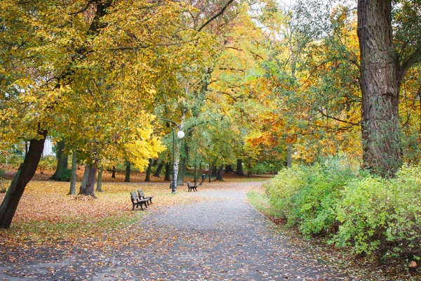 Gyllene Höst Park Oktober Bänk För Avkoppling — Stockfoto