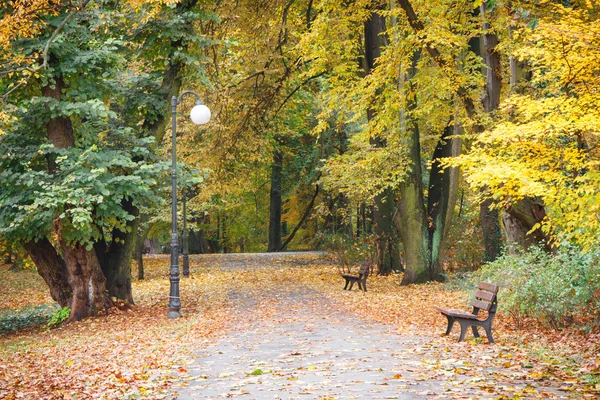 Vue Sur Parc Automnal Octobre Sentier Pédestre Sentier Avec Banc — Photo