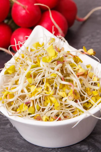 Semillas Rábano Germinadas Tazón Blanco Verduras Frescas Maduras Concepto Nutrición —  Fotos de Stock