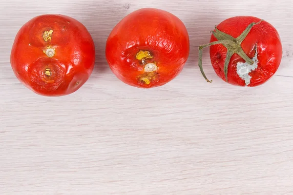 Tomates Froissées Gâtées Avec Moisissure Concept Légumes Malsains Dégoûtants Lieu — Photo