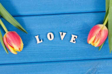 Sevgililer Günü, doğum günü ya da diğer durumlar için sürpriz olarak aşk ve taze laleler.