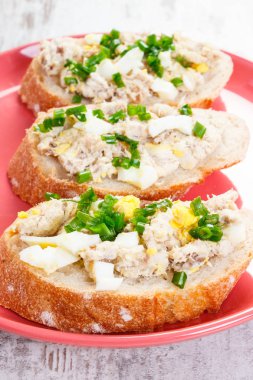 Taze ev yapımı hamur uskumru veya ton balığı, yumurta ve Frenk soğanı huysuz baget dilim