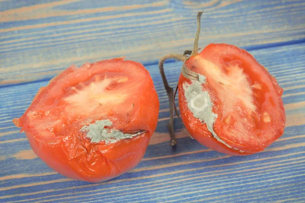 Tomates Froissées Gâtées Moisissure Concept Légumes Malsains Dégoûtants — Photo