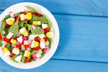 Taze sebze ve panoları, kavramı diyet, sağlıklı yaşam ve beslenme, kopya alanı metin veya yazıt için bir kapta yumurta salatası